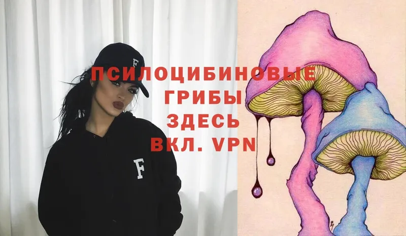 omg зеркало  купить закладку  Шумерля  Псилоцибиновые грибы Psilocybe 